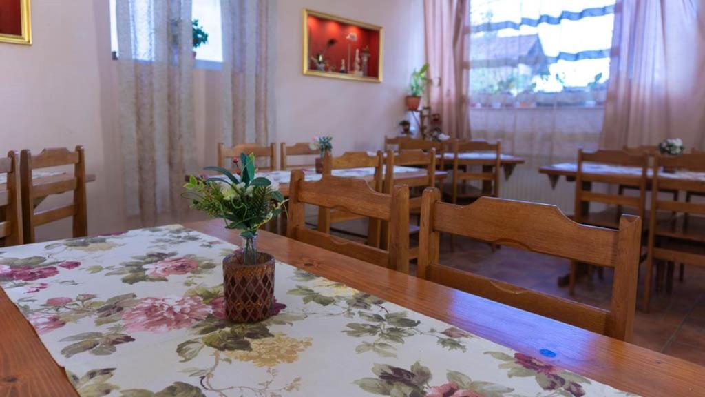 Pension Paunasul Busteni Ngoại thất bức ảnh